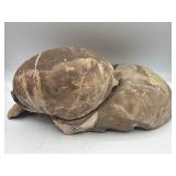 Fossilized Nautiloid