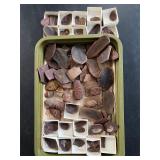 Mazon Creek fossils