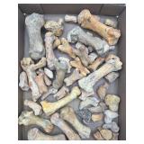 Bear ?  Bones and claws