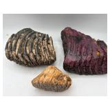 Fossilized woolly mammoth teeth