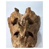 Animal sacrum bone