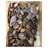 Mazon Creek Fossils