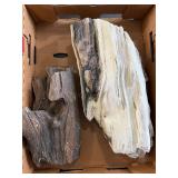 Large petrified wood pieces