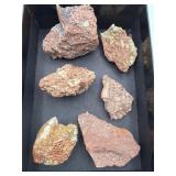 Fossilized teeth in rocks
