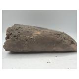 Fossilized partial mastodon tusk