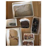 Fish fossil and more