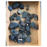 Fossilized turtle shell pieces