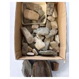 Fossils and rocks