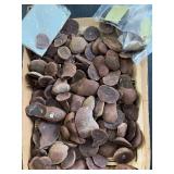 Mazon Creek fossils
