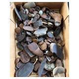 Mazon Creek fossils