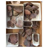 Mazon creek fossils