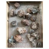 Fossilized egg fragments