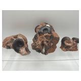 Fossilized ammonite groupings