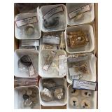Tiger shark teeth, fossilized ear bones and more