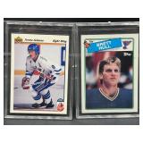 Brett Hull and Teemu Salanne Rook hockey cards