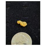 1.55 oz Nice Gold Picker/Nugget  11-5