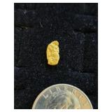 .90 oz Nice Gold Picker/Nugget  11-4
