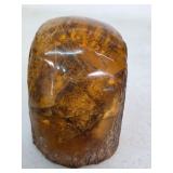 Scorpion encased in amber. 25-12