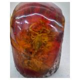 Scorpion encased in amber. 25-14