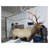 ELK permit # 26-037-0