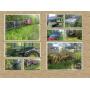 ESTATE OF FRANK DYE 478.24 ACRES W/ Cabin & HVY. EQUIPMENT