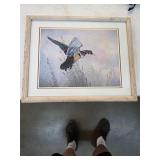 Signed framed mallard art. 80-24