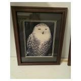Framed, signed snowy owl picture. D524