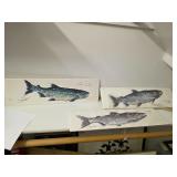 Original watercolor salmon by Lisa Rogers. D527