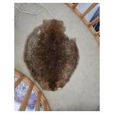 Beaver pelt, see pictures. D393