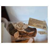 Ivory Alaskan anniversary rose. D324