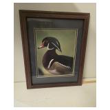 Signed, framed duck picture. D522