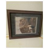 Framed, signed puffin picture. D525