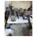5 standing geese decoys. 11-3