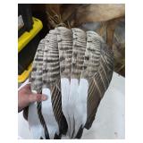 5 geese decoys. 11-5