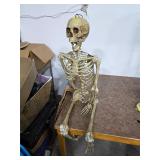 Large plastic skeleton. 55-2