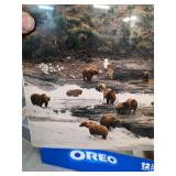 Wildlife pictures. 36-5