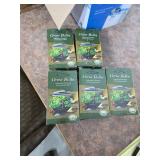 Grow bulbs. 40-25