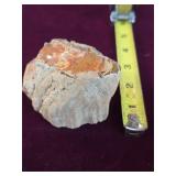 Large piece of fossilized wood. 25-5