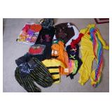 Halloween Costumes