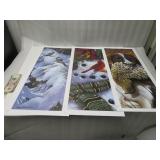 Jerry Gadamus Set of Prints