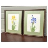 Pair of E Paul Signed Watercolor Iris Paintings