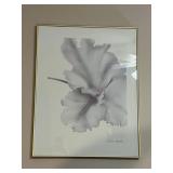 Framed Vintage Floral Poster Print