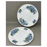 Vintage English Bone China Clarence Anenome Plate