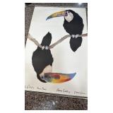 Carol Grigg Toucan Dream Poster Print Gango