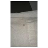 Set of Bedsheets - White