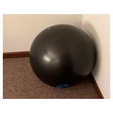 Exercise Ball