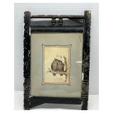 Vtg Framed Art Print Two Owls on a Branch