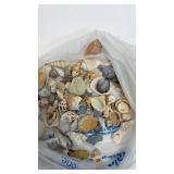 Sea shell lot and 2 statues. Beautiful pieces.