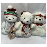 Santa Bear Lot