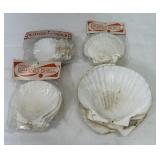 stack of large natural white Baking scallop shells